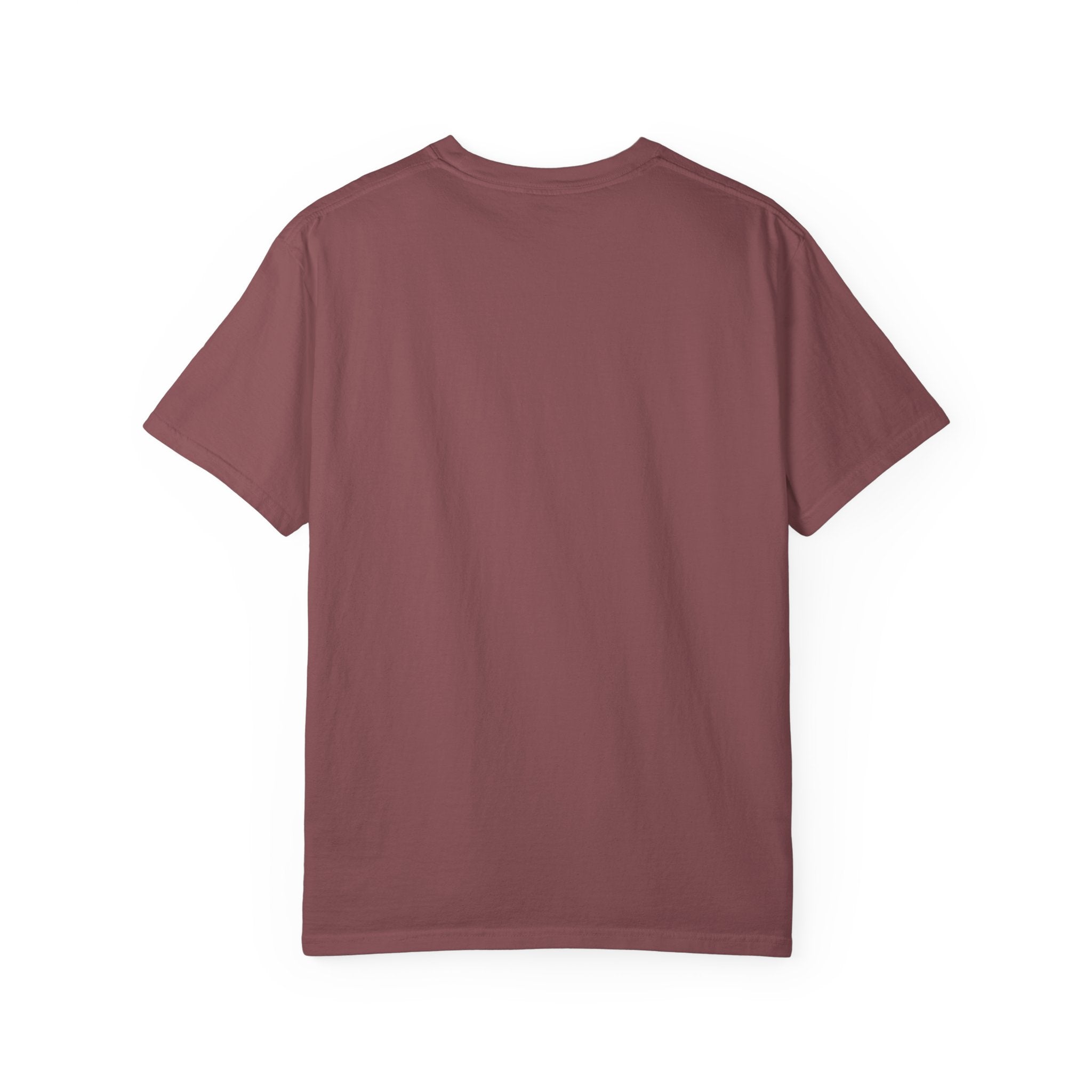 Fear Not Tee | Isaiah 41:10 | Lion of Judah Garment-Dyed Comfort Colors Christian Apparel | Kingdom Stitch Wear