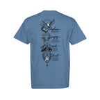 ndm:1181197